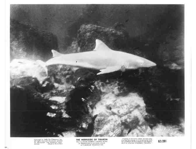 MERMAIDS OF TIBURON, 1962, movie stills, Diane Webber