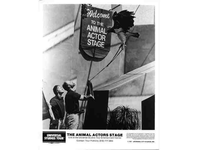 UNIVERSAL STUDIOS TOUR, collectibles, various scenes