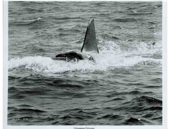 JAWS, 1975, movie stills, Roy Scheider, Richard Dreyfuss