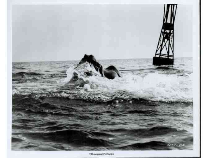 JAWS, 1975, movie stills, Roy Scheider, Richard Dreyfuss