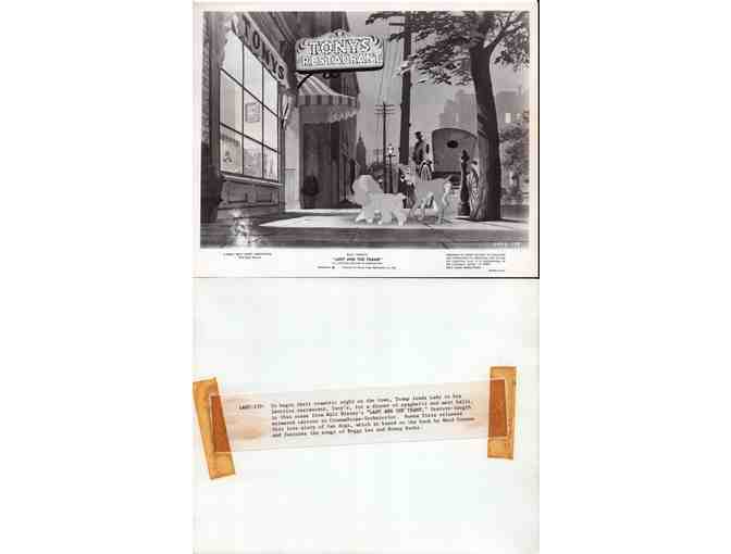 LADY AND THE TRAMP, 1955, movie stills, Walt Disney animation