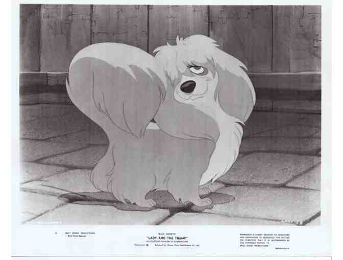 LADY AND THE TRAMP, 1955, movie stills, Walt Disney animation