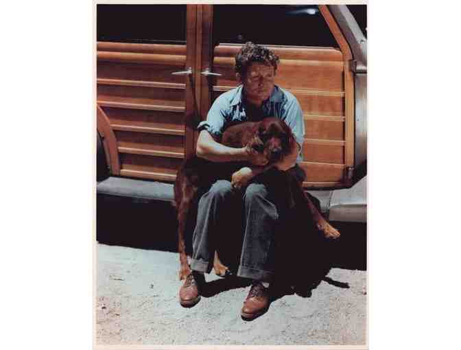 SPENCER TRACY, group of classic celebrity portraits, stills or photos