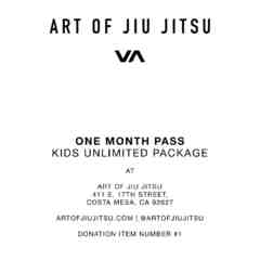 Art of Jiu Jitsu (AOJ)