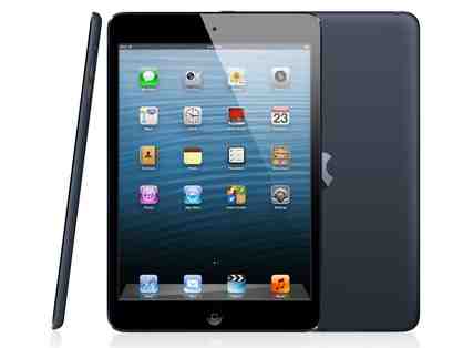 iPad Mini - 16GB Gray