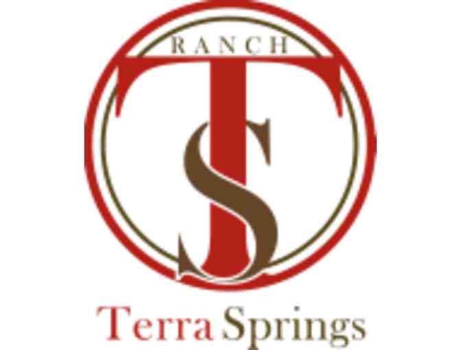 Terra Springs Ranch- Guided Trail Ride and Champagne Picnic Lunch for Two- Franklin, TN
