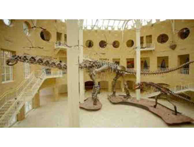 Fernbank Museum of Natural History- 4 Passes