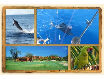 Casa de Suenos 'House of Dreams' in Costa Rica