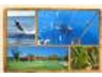 Casa de Suenos 'House of Dreams' in Costa Rica