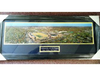Framed Portrait of University of Michigan Football Field