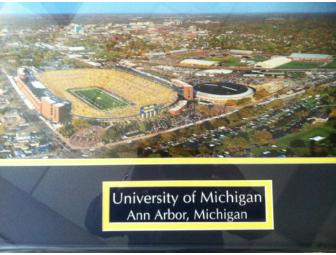 Framed Portrait of University of Michigan Football Field