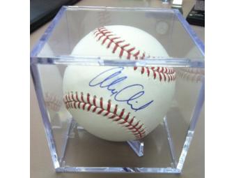 Detroit Tiger, Alex Avila, Autographed Baseball