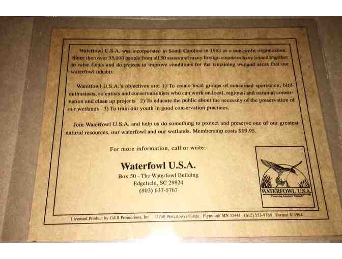 Collector's Series National Waterfowl Print & Stamp