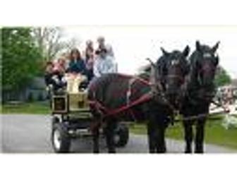 Martha Clara Vineyards, Private Tour & Tasting for 6, Long Island, NY