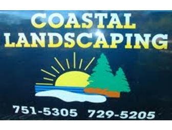 $100 Towards Coastal Landscaping