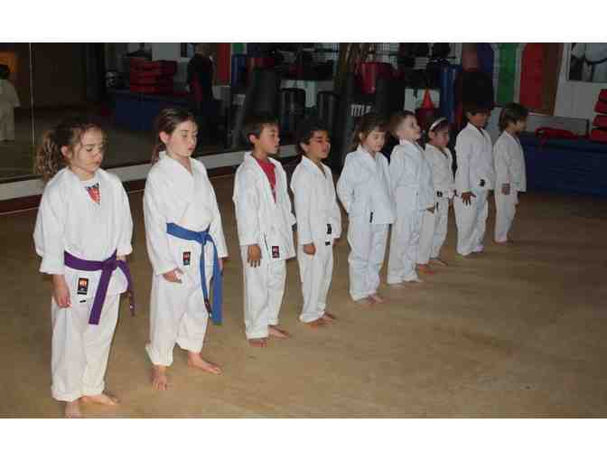 1 month of Karate training at GojuRyu Karate-Do Seiwaka - #1