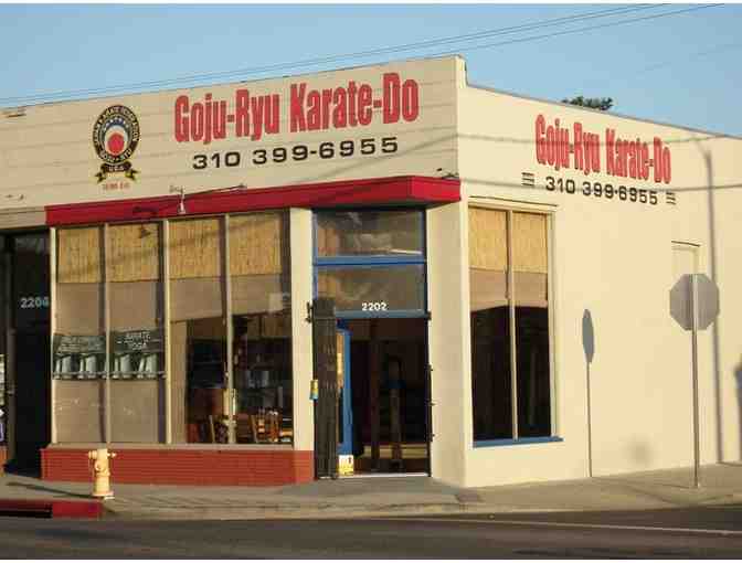 1 month of Karate training at GojuRyu Karate-Do Seiwaka - #2