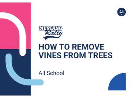 How to Remove Vines from Trees