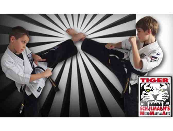 Tiger Schulmann's Mixed Martial Arts - Chelsea