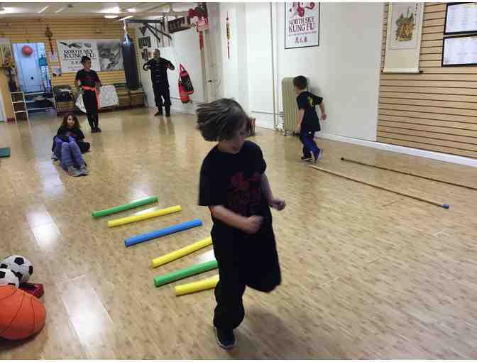 North Sky Kung Fu One Month of Martial Arts Classes