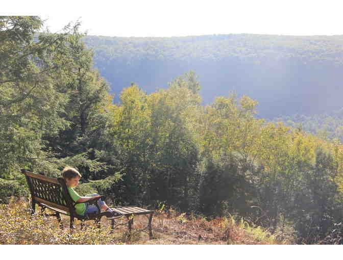 Catskill/Delaware River Log Cabin Getaway: MTW Families  and Alumni ONLY