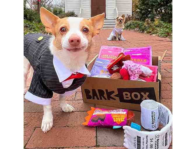 Bark Box - Monthly Subscription Box for Medium Dog - 2 Dog Treats, 2 Toy and and 1 Chew
