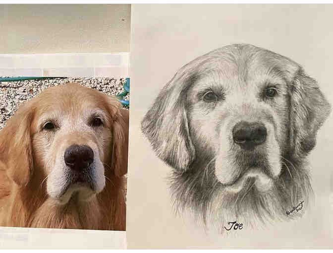 Pencil Portrait - By Rhea Banerjee (MTW Parent)