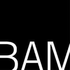 Brooklyn Academy of Music