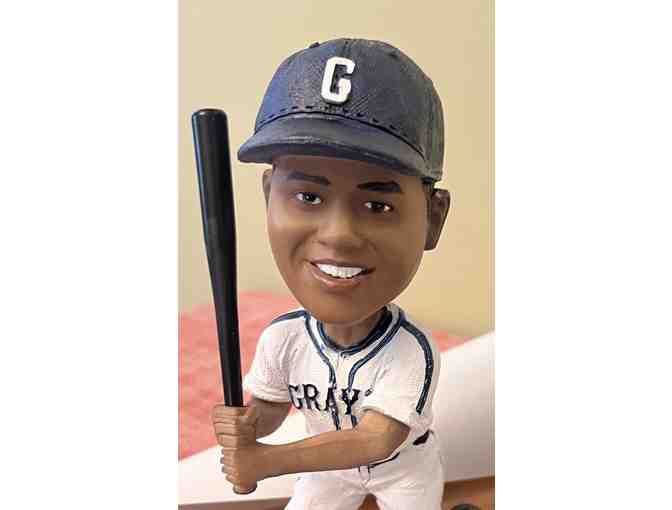 Josh Gibson Foundation Collectable Package