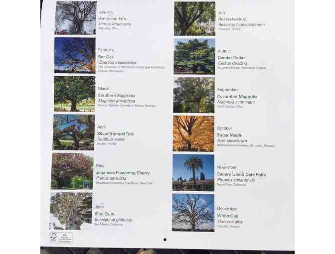 Trees of Davey 2020 Calendar