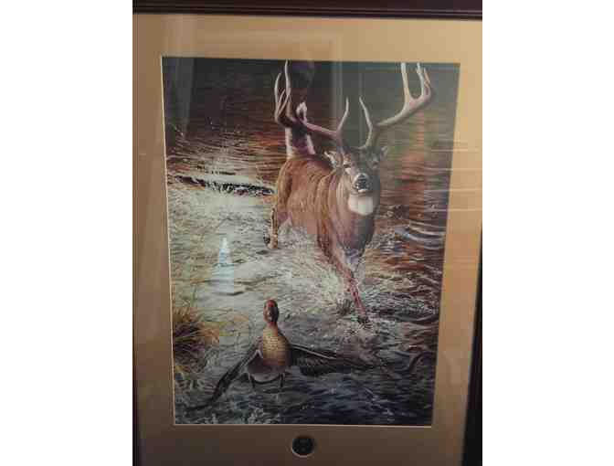 Framed Ducks Unlimited Print by Christopher Walden With Seal