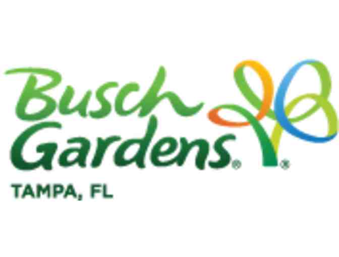 Busch Gardens for 4