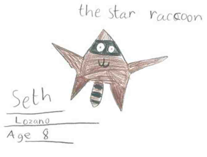The Star Racoon- Adoption