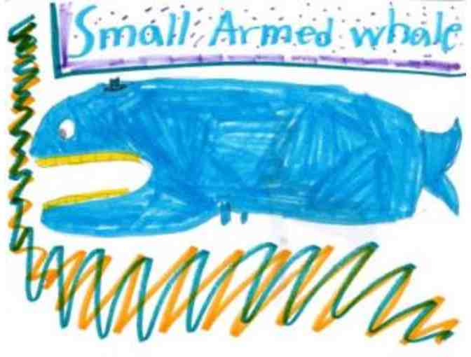 Small Armed Whale - adoption