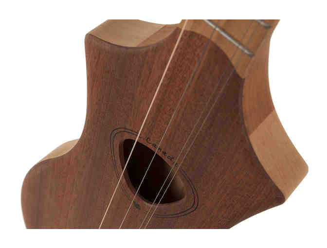 Seagull Merlin Natural Mahogany SG- Not a guitar, something unique