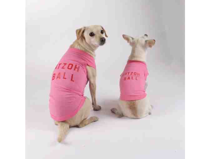 Dog Accessorie Bundle! Susan Alexandra Dog Leash & Katie Kimmel Dog Sweatshirt