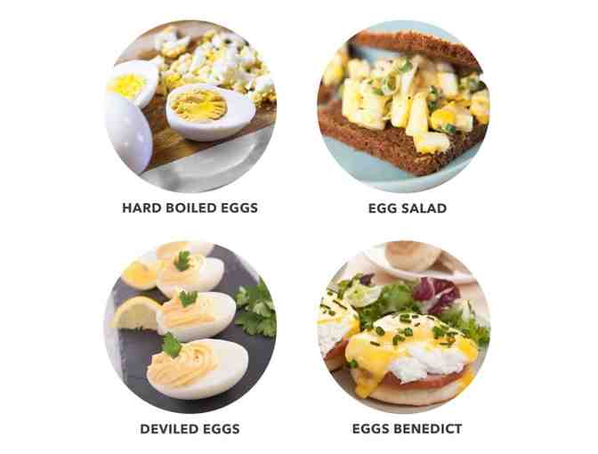 Kitchen - DASH Express Egg Cooker