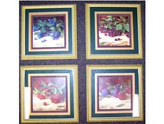 Framed Fruit Prints