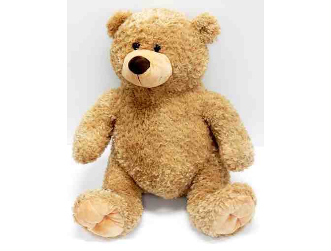 Teddy's Bear Picnic