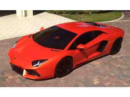 Exotic Car Driving Experience