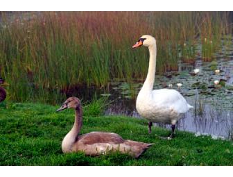 Guided Kayak tour for 2 people on the Nashua River
