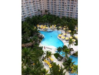 One Week at Marriott Aruba Surf Club