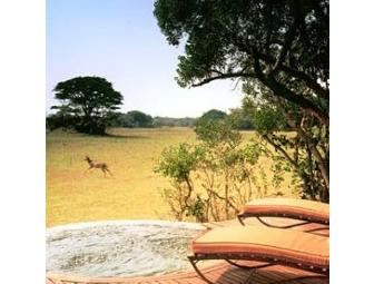 'I Dreamed of Africa' South Africa Photo Safari