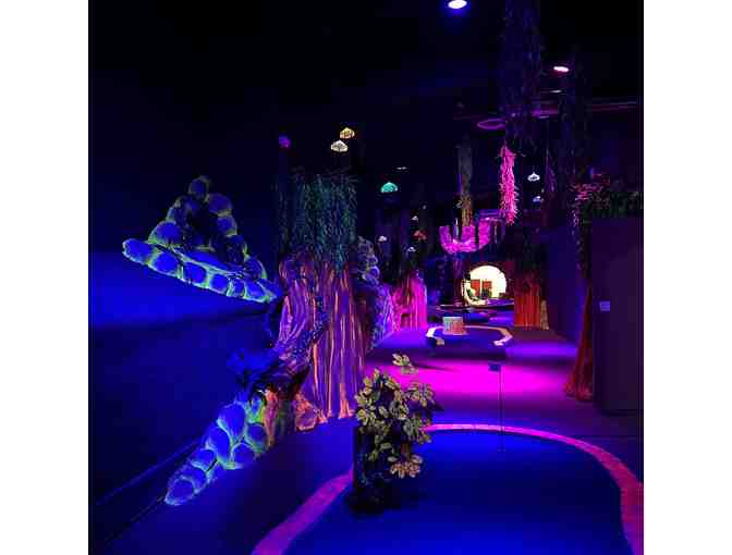 Space Race Adventure - Pigeon Forge, TN 2 Tix VIP Minigolf & 2 Tix VIP Go-Karts