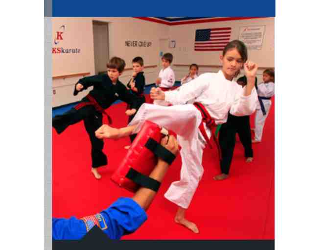 Kicks Karate Birthday Party