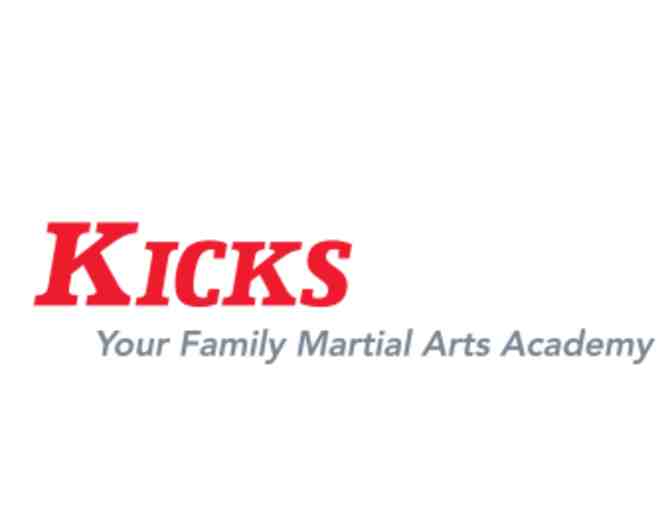 Kicks Karate Birthday Party