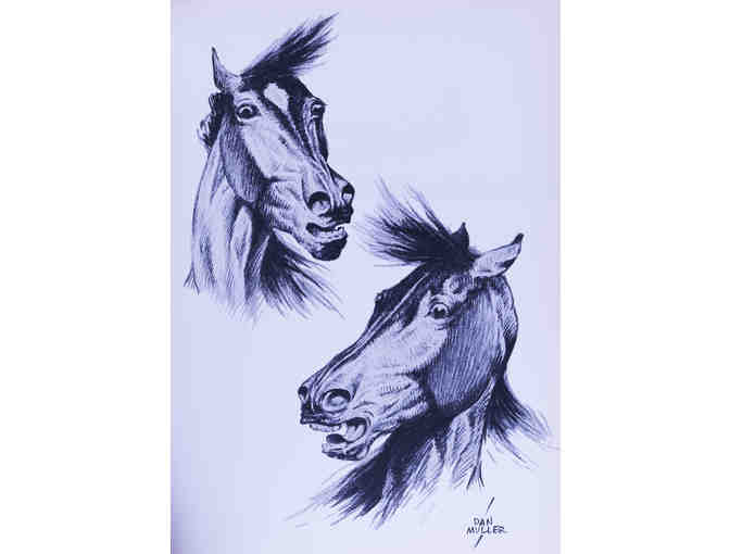 Horses by Dan Muller