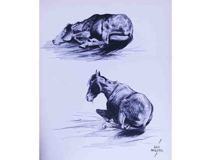 Horses by Dan Muller