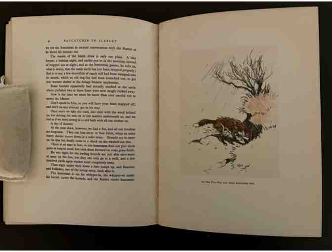 Ratcatcher to Scarlet