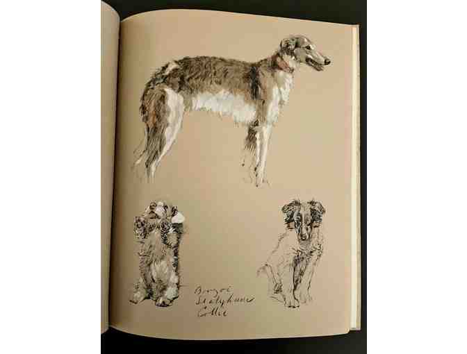 Just Among Friends: Pages from My Sketchbook